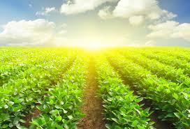 Çiftçiler Modern Tesislere Kavuşuyor