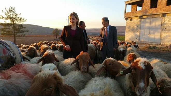 Üreticilere Zoonoz Hayvan Hastalıkları Eğitimi Veriliyor