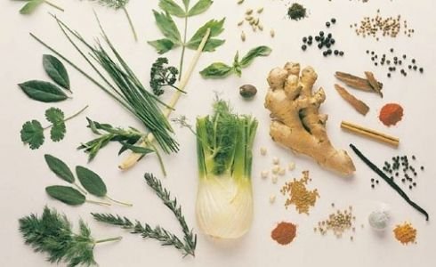 Tıbbi ve Aromatik Bitki Ekimi Müracaatları Başladı