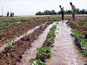 Lapseki nin Dağ Köylerinde Sulu Tarım Yapılacak