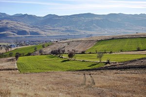 Tunceli de 16 Bin Dekar Alan Sulanacak