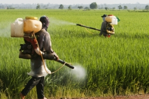 Pestisit Kullanımının Azaltılmasına Yönelik Çalışma