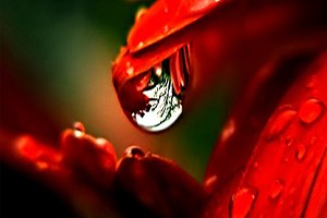 Geleceğe Bir Damla Su Çalıştayı düzenlendi