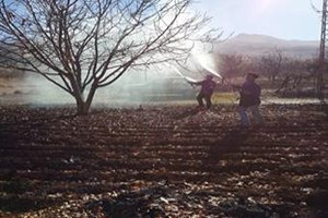 İlaçlama Denetimleri Sahada Devam Ediyor