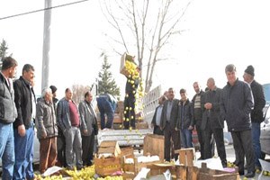 Kasalarla Elmaları Yola Döküp Eylem Yaptılar