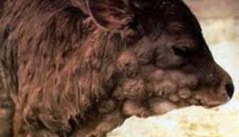 7 Mahalle Karantinaya Alındı