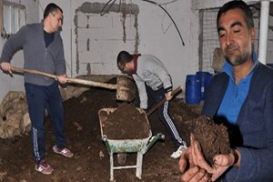 Organik Ürünler Artık Kaliforniya Solucanı Gübresiyle Yetişecek