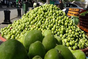 Ege deki Yokluk Gaziantep e Yaradı