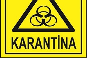 Siirt te Bir Mezra Karantinaya Alındı