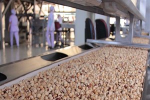 FİSKOBİRLİK Borcunu 1 Milyon Liraya Düşürdü