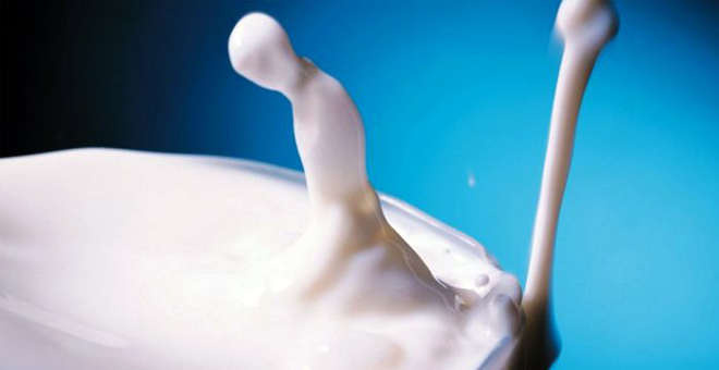 TÜİK Süt ve Süt Ürünleri Üretimi Verilerini Açıkladı