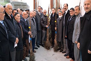 Niksar da 4 bin 530 adet ceviz fidanı dağıtıldı