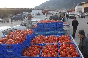 Rusya Almasa da Domates Fethiye de Toptan 3 Tl