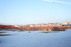 Erzurum Hayvan Pazarı Şap Nedeniyle Kapatıldı