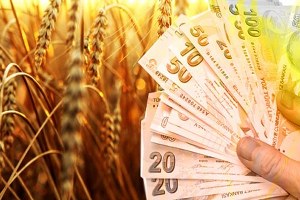 Çiftçiye Hibe Ve Kredi Desteği Uygulamaya Girdi