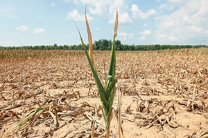 İzmir de Son 60 Yılın En Kurak Aralık Ayı Yaşanıyor