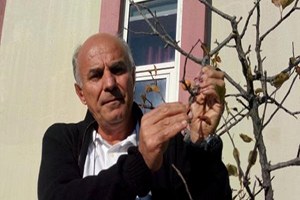 Dünyanın Ekolojik Dengesi Tehdit Altında