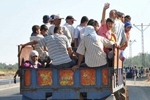 Avrupa ya Gitmek İstediler Tarım İşçisi Oldular