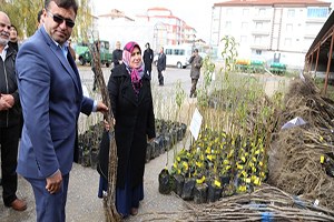 Aksaray da Çiftçilere 7 Bin 80 Adet Meyve Fidanı Dağıtıldı