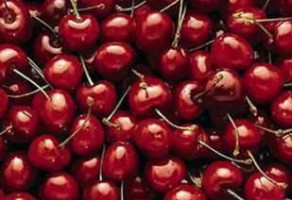 Organik Kiraz Yetiştiriciliği Çiftçilerin Yüzünü Güldürdü