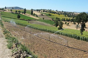 Vezirköprü Ovası Sulamasında İmzalar Atıldı