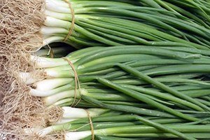 İstanbul da Zam Şampiyonu Yeşil Soğan