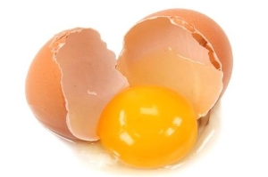 Yumurtada Yeni Dönem Başlıyor