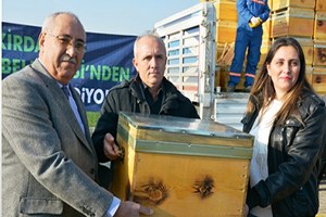 1544 Arı Kovanı Dağıtıldı