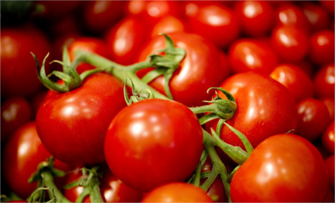 Domates Posasından Doğal Vernik