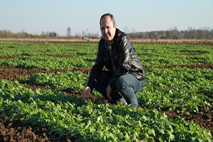 Türkiye nin İkinci Yerli Kanola Tohumu Üretildi