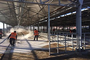 Gümüşhane de Nepal Tip Şap Aşılaması Başladı