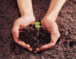 Toprağı Korumak İçin Önemli Bir Proje başladı