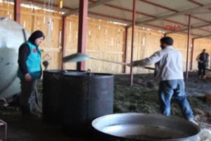 Lisinia da Ardıç Yağı Üretimi