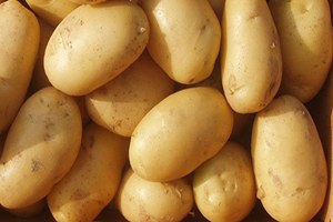Patates Fiyatında Büyük Düşüş