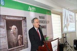 Serka nın Küçükbaş Hayvan Çalıştayı