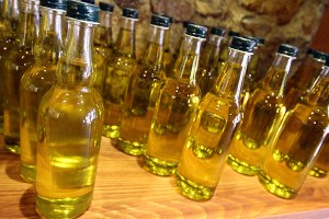 Zeytinyağı Primleri Ödemeleri Başlıyor