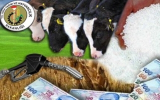 Hayvancılık Destekleri için Son Başvuru 31 Aralık