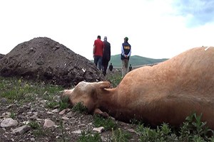 Havza Ziraat Odasınan Besicileri Uyardı