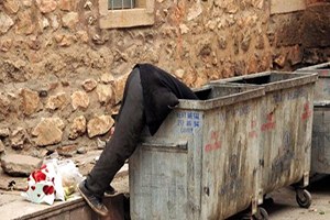 İnekleri İçin Çöpten Yiyecek Topluyor