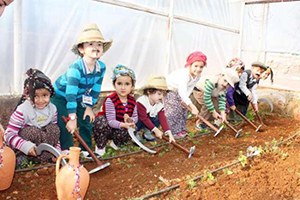 Minik Eller Çiftçilik Yaptılar