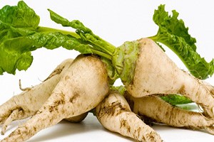 Amasya da Pancar Alım Fiyatı Belirlendi