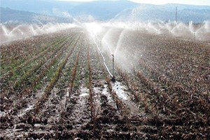 Kuraklığa Sondajlı Önlem