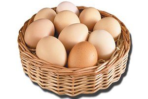 Yumurta Yasası na Üreticiler Tepkili