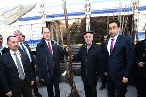 Amasya da Köylülere Ceviz ve Kiraz Fidanı Dağıtıldı