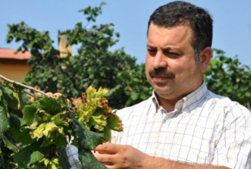 Allahverdi Türkiye nin 18 Fındık Çeşidi Oldu