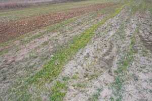 Güneydoğu da Kurak Kış