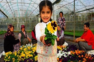 Süs Bitkisi Üretimine Ortaca Ve Dalaman Da Katıldı