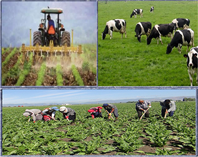 Tarımda 2015 Yılı Tablosu