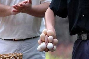 Kosova Tarım Bakanı na Yumurtalı Protesto