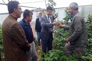 Adilcevaz Cevizi İçin Hazırlanan Proje Kabul Edildi